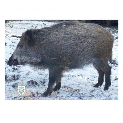 44619 BJV Schießscheibe Frischling