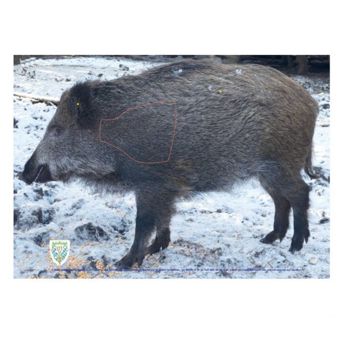 44619 BJV Schießscheibe Frischling