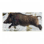 BJV Schießscheibe Keiler re-li