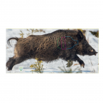 BJV Schießscheibe Keiler li-re