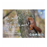 Schild Besucherlenkung Eichhörnchen