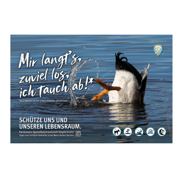 Schild Besucherlenkung Ente