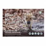 Schild Besucherlenkung Frischling (Mama)