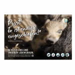 Schild Besucherlenkung Frischling schlafend