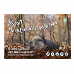 Schild Besucherlenkung Sau