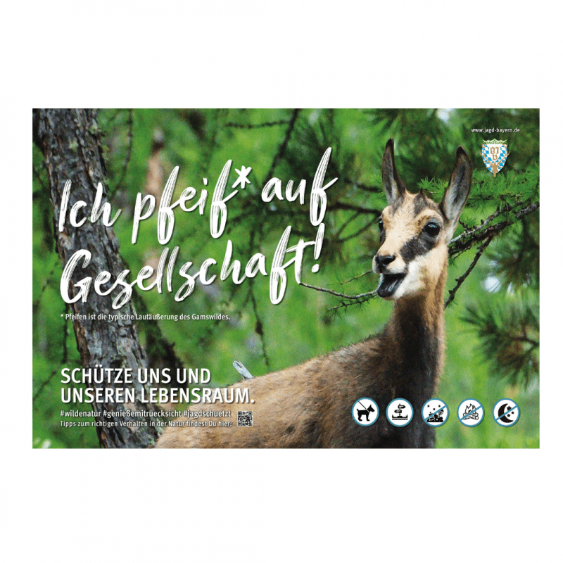 Schild Besucherlenkung Gams