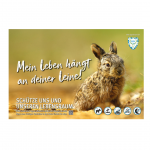 Schild Besucherlenkung Hase Leine