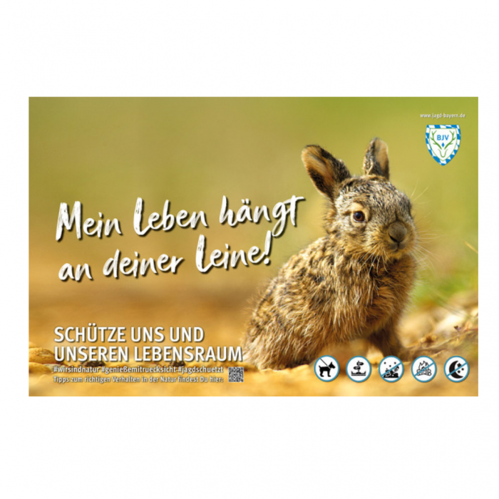 Schild Besucherlenkung Hase Leine