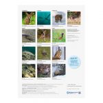 44908 BJV Schulkalender "Wald, Wild, Wasser"2025