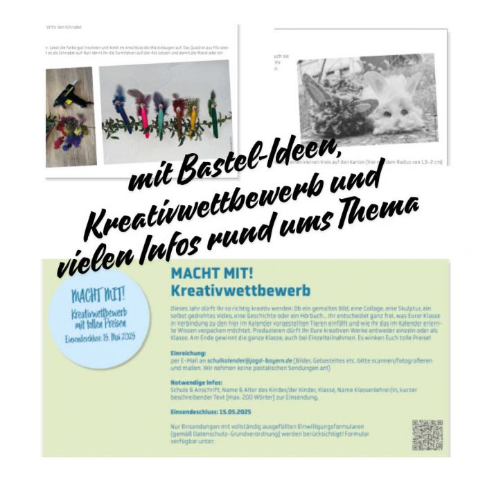 Schulkalender “Wald, Wild und Wasser” 2025 – Bild 3