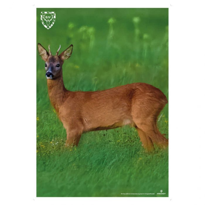 44909 BJV Wildorganscheibe Reh Grundscheibe