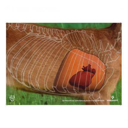 44911 BJV Wildorganscheibe Reh Spiegel hinten