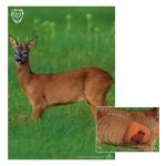 44912-44913 BJV Wildorganscheibe Reh Starterset