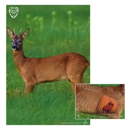 44912-44913 BJV Wildorganscheibe Reh Starterset