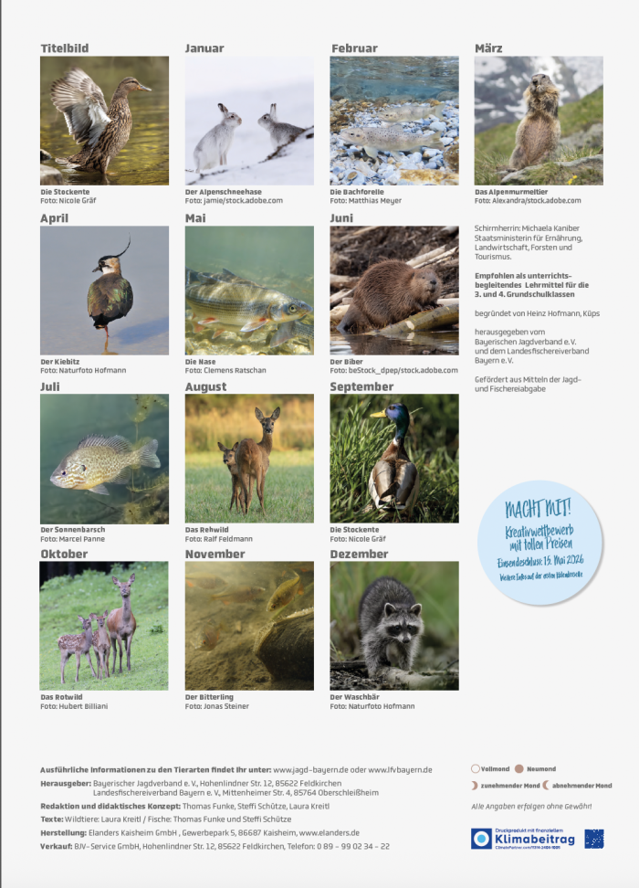 Schulkalender “Wald, Wild und Wasser” 2026 – Bild 2