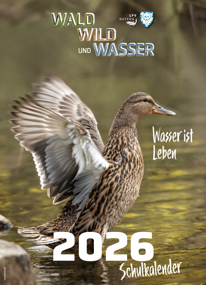 Foto Kalender 2026 Schulkalender “Wald, Wild und Wasser” 2026 – Bild 1